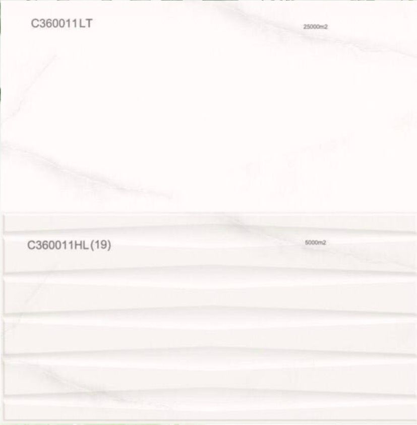 C360011LT / C360011HL(19)